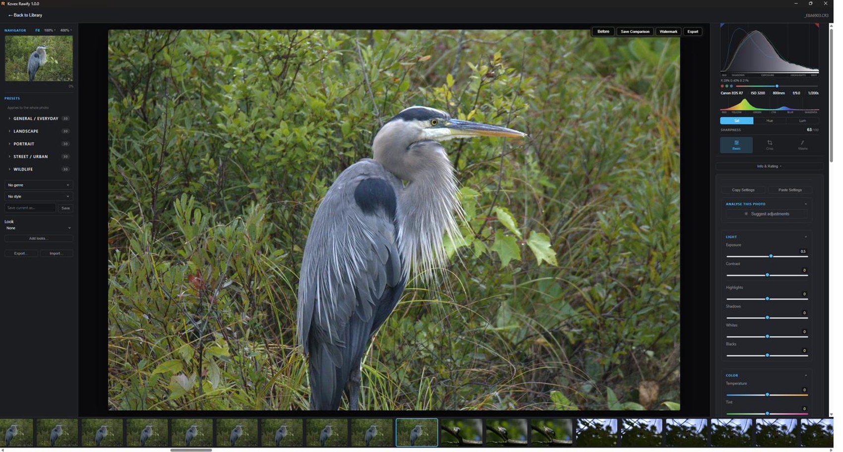 The Kovex Rawify develop window, with a great blue heron open