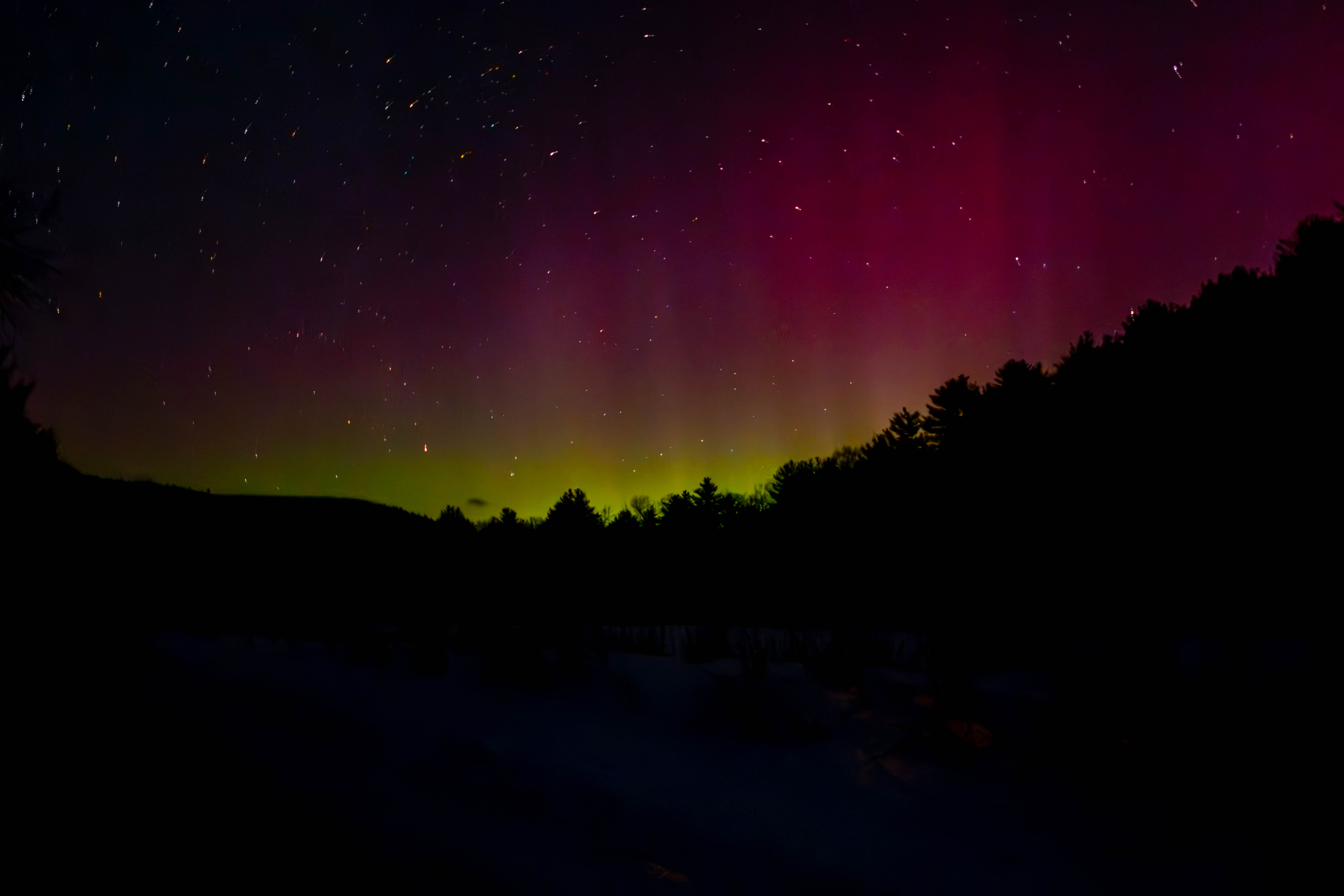 Aurora over a treeline, green fading through magenta