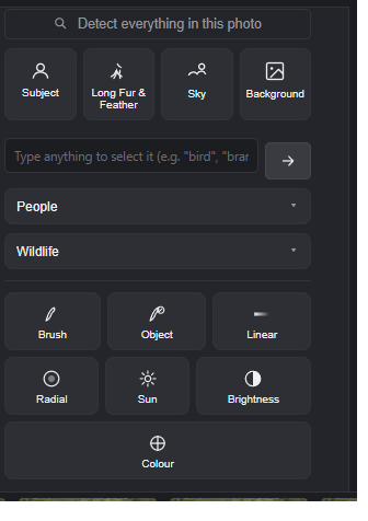 The masking panel showing ten selection types